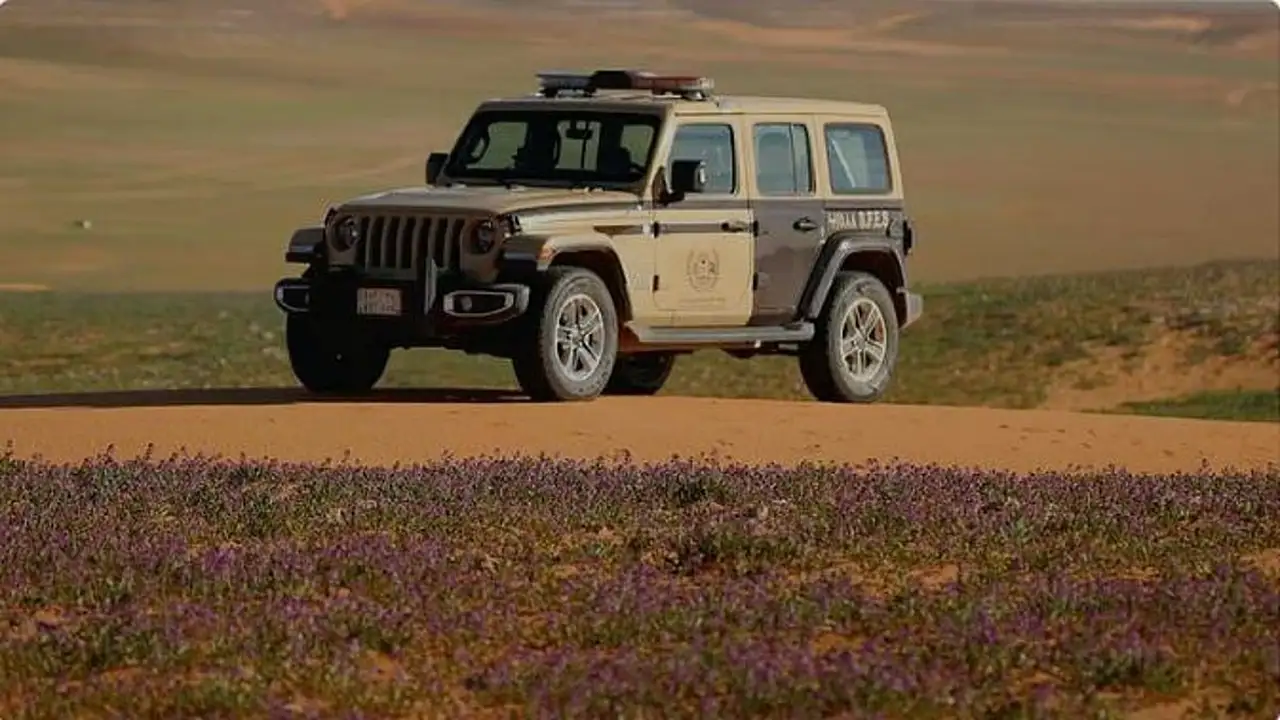 ضبط مواطنين بعد شروعهما في الصيد دون ترخيص بمحمية الإمام عبدالعزيز الملكية